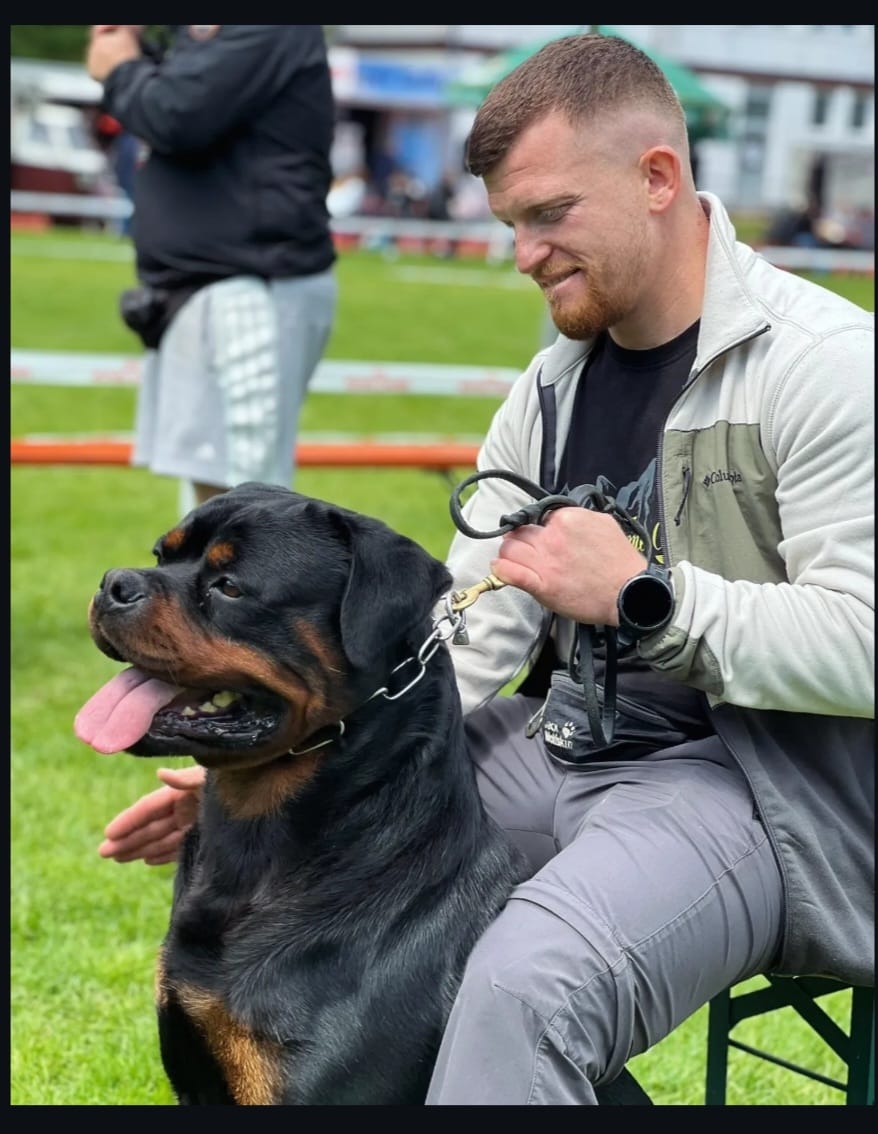 HARRY OF THE LITTLE GODFATHER - Rottweiler stud male Slovenia - Musikstadt