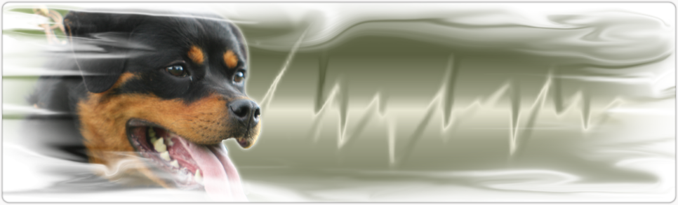 nicky rottweiler female logo