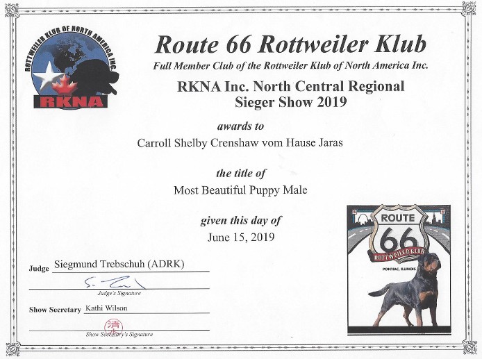 RKNA INC DOG SHOW