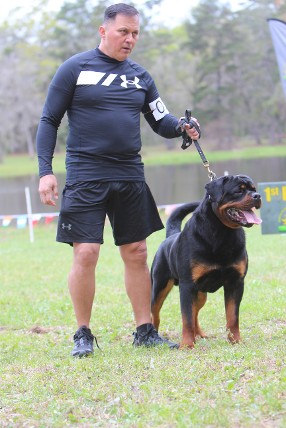 URKA sieger SE show Rottweiler