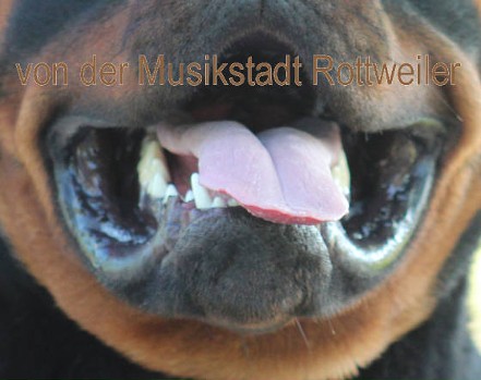 are rottweilers mouthy