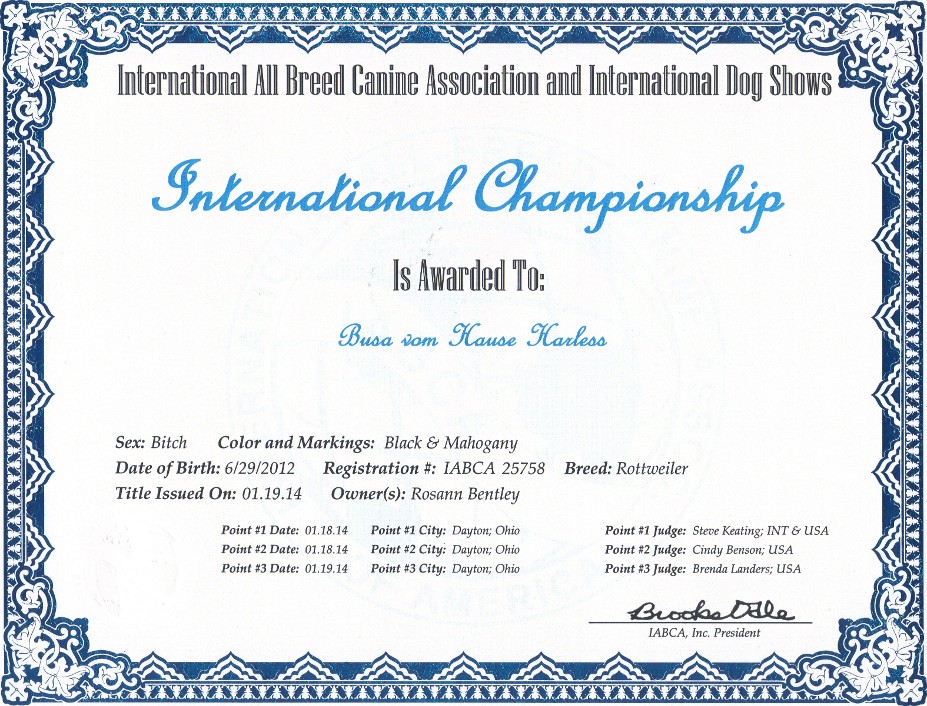 Busa rottweiler international championship